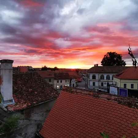 Treehugger Old Town * Sibiu